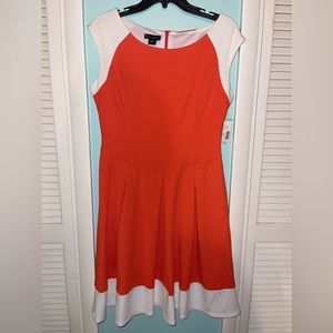 NWT Metaphor dress in coral and ivory. MSRP $70.